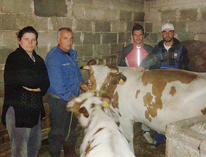 Крава за Тасиће са Косова и Метохије